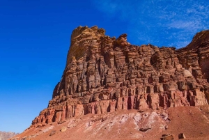 AlUla: tour di un giorno a Hegra, alla Roccia dell'Elefante e alla città vecchia