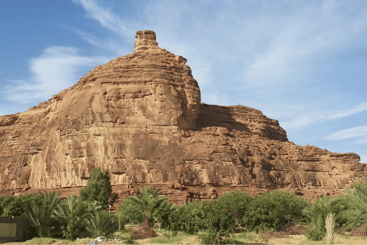 Alula: tour guidato di Hegra