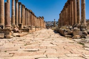 Wycieczka 1-dniowa: Jerash i Ajloun z Ammanu