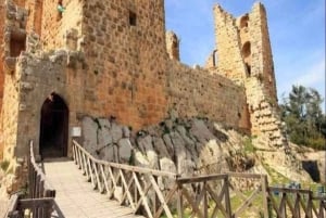 Wycieczka 1-dniowa: Jerash i Ajloun z Ammanu