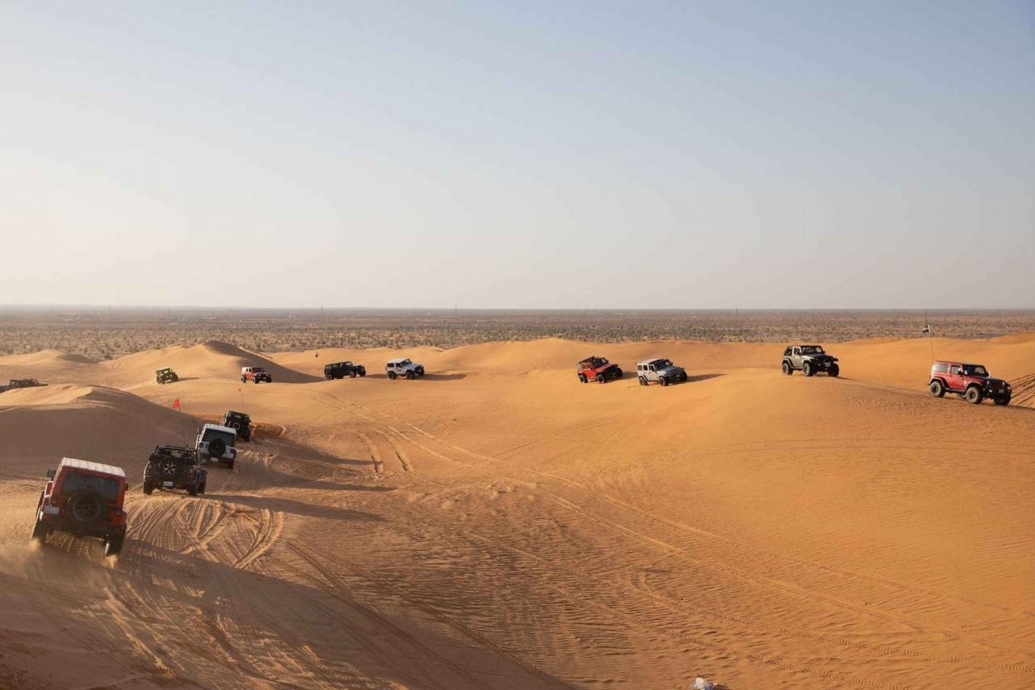 From Riyadh: Desert Safari in Thumammah