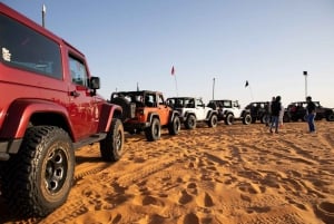 From Riyadh: Desert Safari in Thumammah