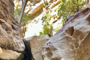 Discover the Essence of Asir - 5-Day Tour