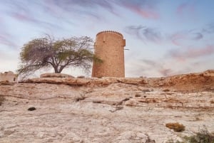 Doha : Yksityinen Pohjois-Qatar-kierros, Zubaran linnoitus ja mangrovemetsät