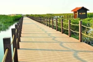 Doha : Yksityinen Pohjois-Qatar-kierros, Zubaran linnoitus ja mangrovemetsät