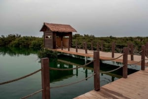 Doha : Yksityinen Pohjois-Qatar-kierros, Zubaran linnoitus ja mangrovemetsät