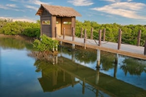 Doha : Yksityinen Pohjois-Qatar-kierros, Zubaran linnoitus ja mangrovemetsät