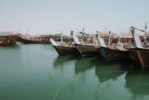 Doha : Yksityinen Pohjois-Qatar-kierros, Zubaran linnoitus ja mangrovemetsät