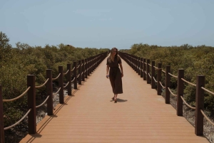 Doha: Prywatna wycieczka na północ Kataru, Fort Zubara i lasy namorzynowe