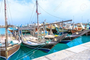 Doha: Prywatna wycieczka na północ Kataru, Fort Zubara i lasy namorzynowe