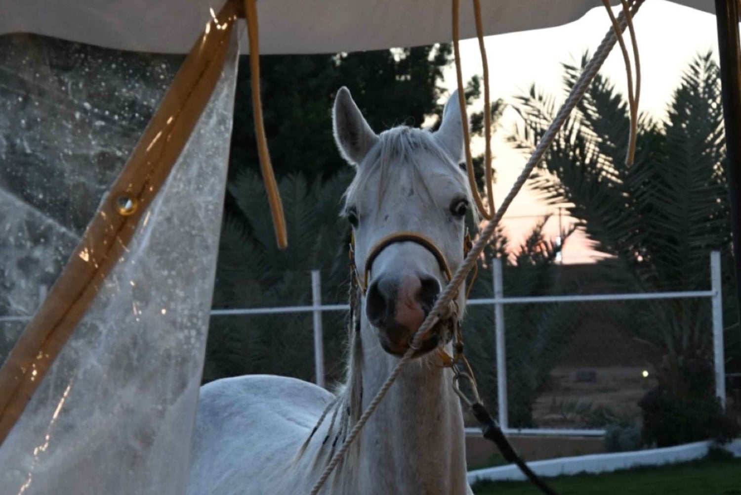 Maailman reunalla 2: Vaellus ja kameli-/hevostila