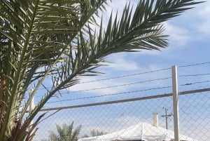 Maailman reunalla 2: Vaellus ja kameli-/hevostila