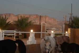 Maailman reunalla 2: Vaellus ja kameli-/hevostila