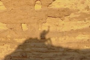 Maailman reunalla 2: Vaellus ja kameli-/hevostila