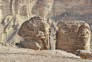 From Riyadh: Edge of the World and Darb Al-Manjoor Adventure