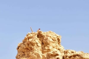 From Riyadh: Edge of the World and Darb Al-Manjoor Adventure