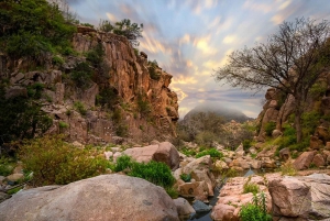 Embárcate en una aventura de senderismo en Taif