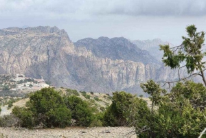 Embárcate en una aventura de senderismo en Taif