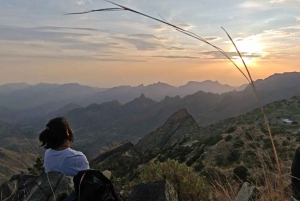 Embarca numa aventura de caminhadas em Taif