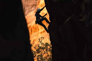 Explore AlUla from Above: A Rock Climbing Adventure