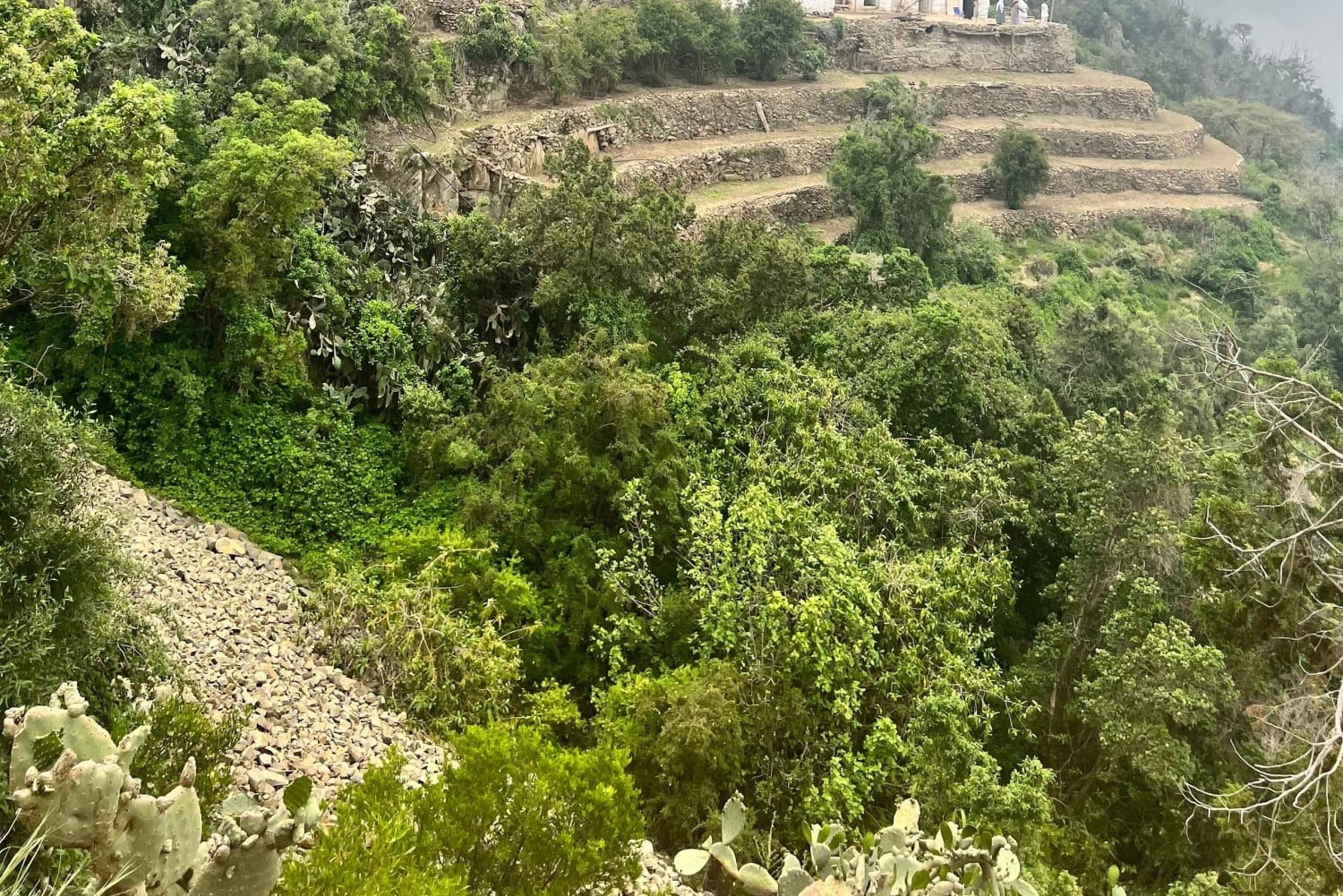 Depuis Abha : randonnée de 6 heures dans les montagnes Sawda