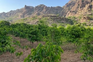 Desde Abha o Jazan: Aventura AlReeth de 3 días con acampada