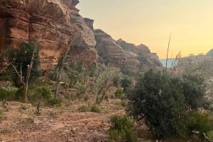 Desde Abha o Jazan: Aventura AlReeth de 3 días con acampada