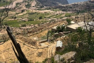From Alreeth: Black Mountain & Coffee Plantation Tour