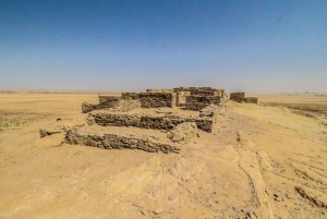 From AlUla: Historic Tayma Day Tour with Lunch and Transfer