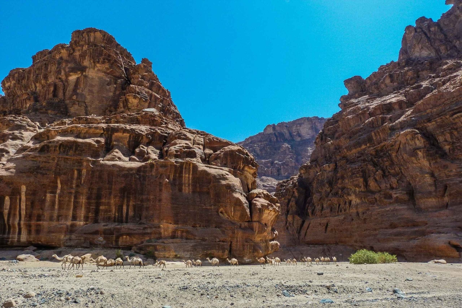 Depuis AlUla : Excursion dans le canyon de Wadi Dissah avec déjeuner et transfert