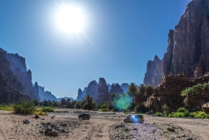 From AlUla: Wadi Dissah Canyon Tour with Lunch and Transfer