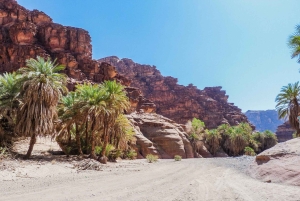 Depuis AlUla : Excursion dans le canyon de Wadi Dissah avec déjeuner et transfert