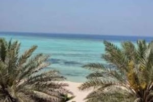 Vanuit Jeddah: dagtour naar King Abdullah Economic City