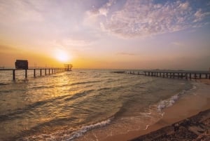 Von Jeddah: Tagestour in die King Abdullah Economic City