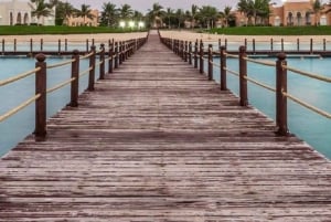 Von Jeddah: Tagestour in die King Abdullah Economic City