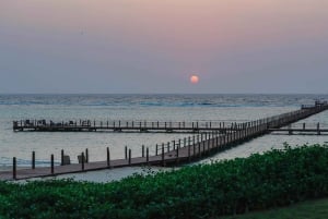 Von Jeddah: Tagestour in die King Abdullah Economic City