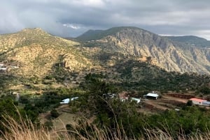 Из Джидды и Мекки: тур на целый день в Таиф с обедом