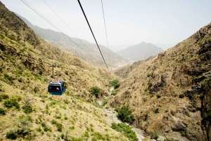 Из Джидды и Мекки: тур на целый день в Таиф с обедом