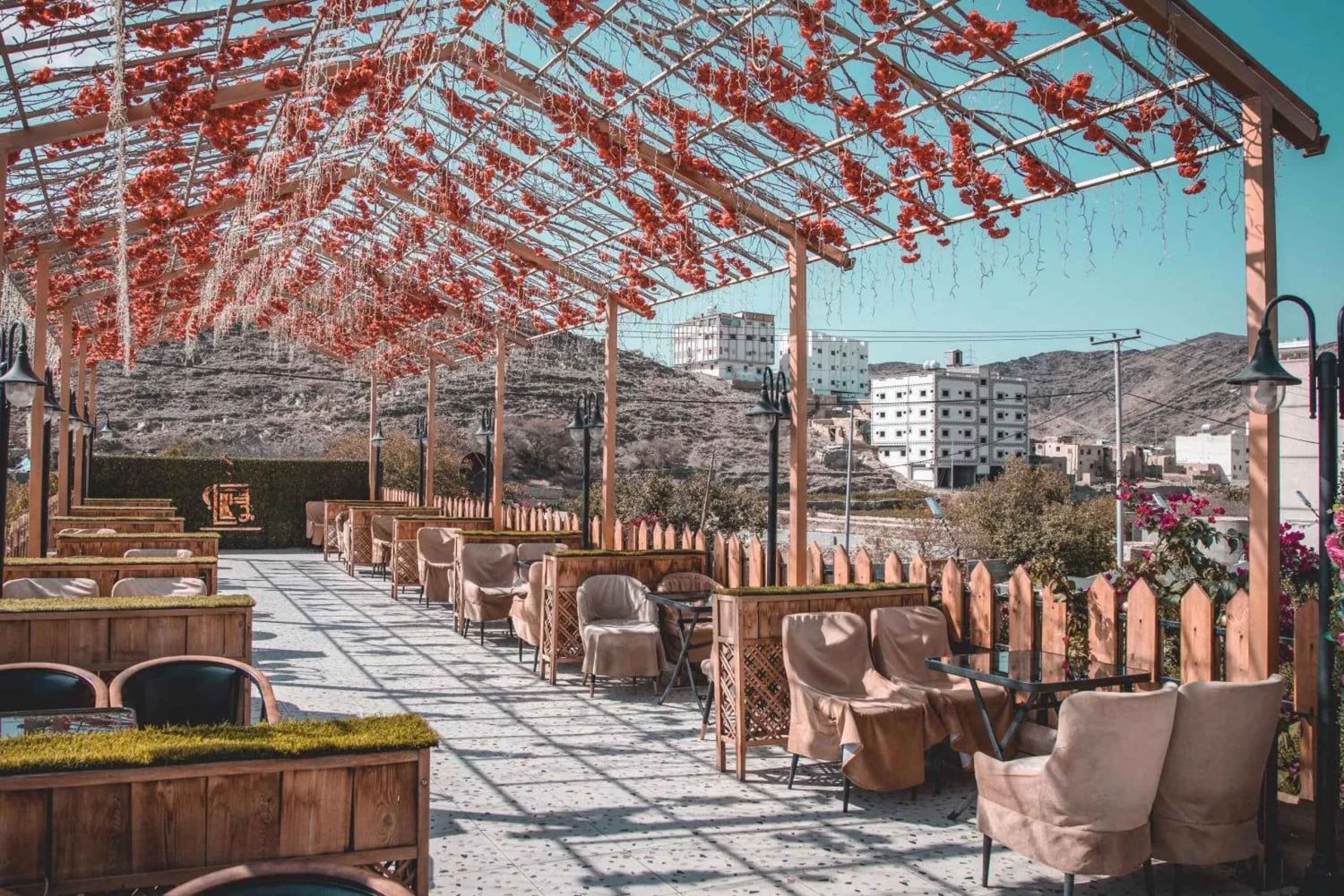 From Jeddah: Visit Taif The City of Roses