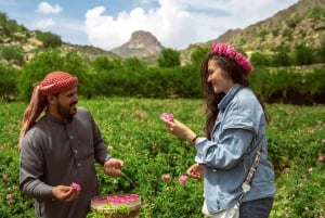 From Jeddah: Visit Taif The City of Roses
