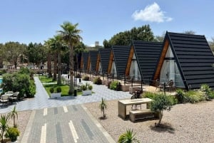 From Jeddah: Visit Taif The City of Roses