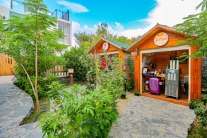 From Jeddah: Visit Taif The City of Roses