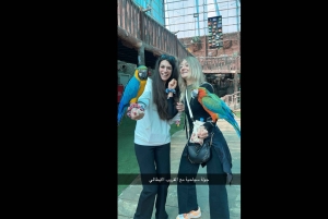 メッカまたはジェッダ発、ターフ山脈への日帰りツアー