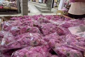 メッカまたはジェッダ発、ターフ山脈への日帰りツアー