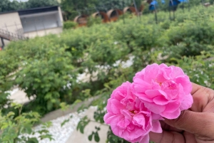 メッカまたはジェッダ発、ターフ山脈への日帰りツアー