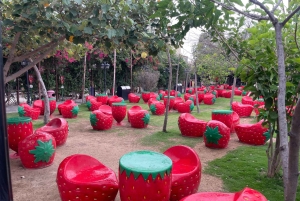 メッカまたはジェッダ発、ターフ山脈への日帰りツアー