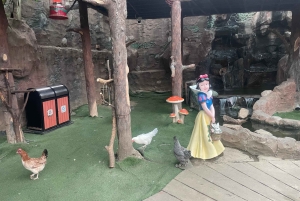 メッカまたはジェッダ発、ターフ山脈への日帰りツアー