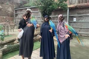 メッカまたはジェッダ発、ターフ山脈への日帰りツアー