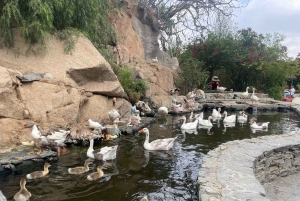 メッカまたはジェッダ発、ターフ山脈への日帰りツアー
