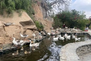 Viagem de 1 dia de Meca a Taif Mountains